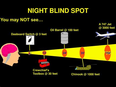 Night Activity Adaptations Visual Acuity Training for Moonlit Adventures