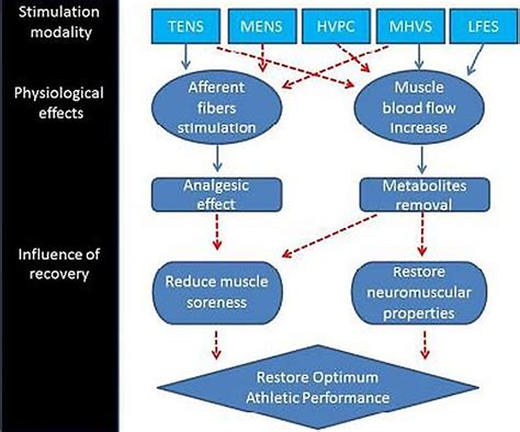 Cross-Sport Recovery Protocols Surf vs Cycling Muscle Therapy