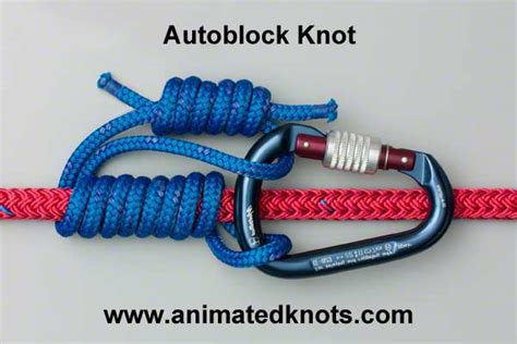 Emergency Rappel Device Backup Autoblock vs Prusik Knot Reliability