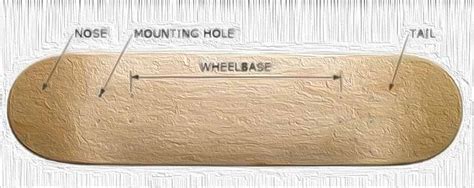 Board Volume Distribution Nose vs Tail Foam Placement Studies