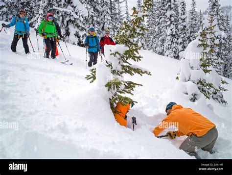 Tree Well Survival Protocol 5 Rescue Drills Every Off-Piste Skier Needs