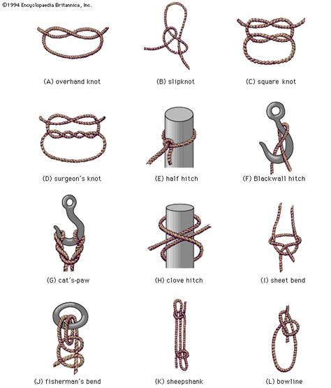 Knot Mastery Guide 10 Essential Hitches for ClimbingSailingRescue