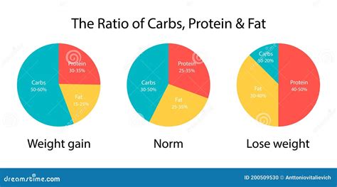 Altitude Nutrition Calculator CarbFatProtein Ratios Above 5,000m