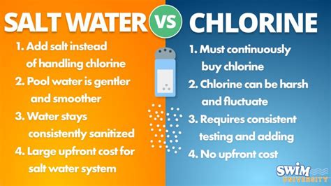 Wave Pool Chemistry Chlorine Levels vs Saltwater System Impacts